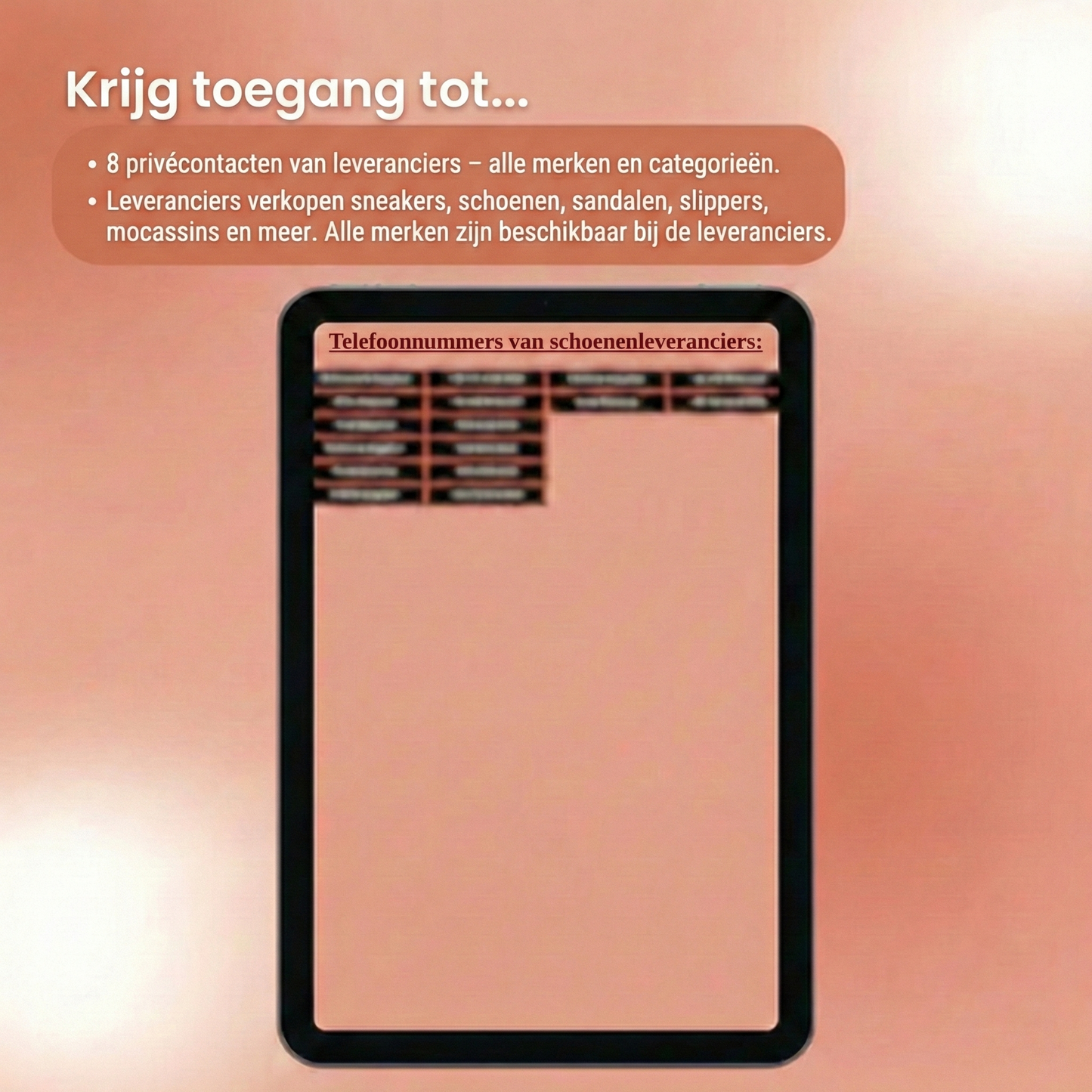 Schoenenleveranciers